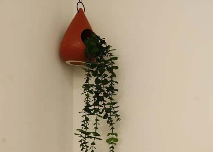 Kasbahbohome, Experience D'ailleurs, Centre Ville, *